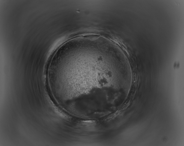 X0000091680053200708301528