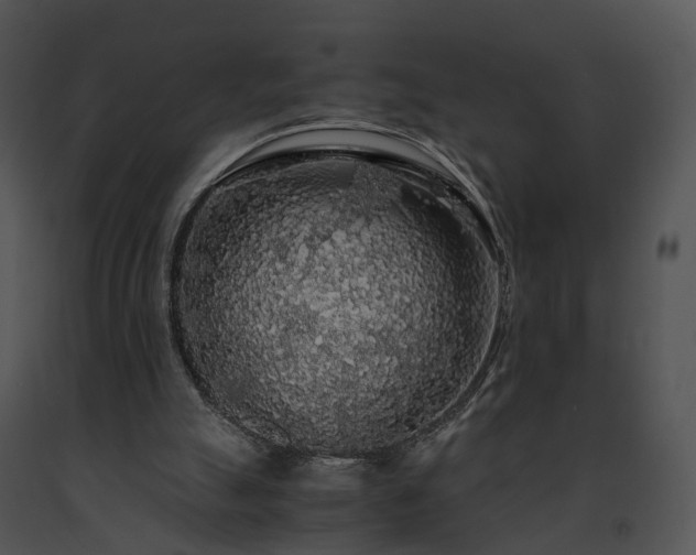 X0000091680055200708301528