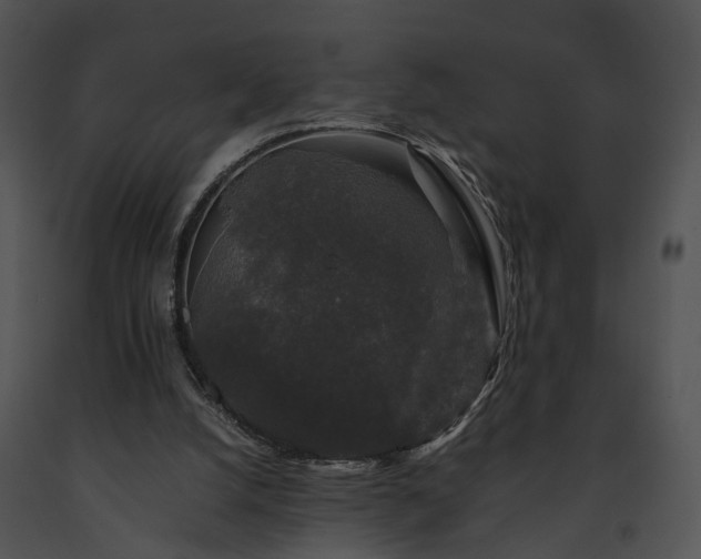 X0000091680056200708301528