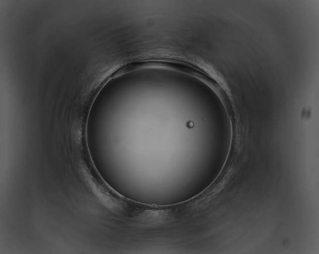 X0000091680057200708301528
