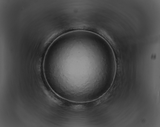 X0000091680058200708301528