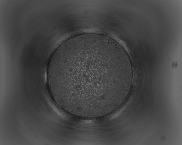 X0000091680061200708301528