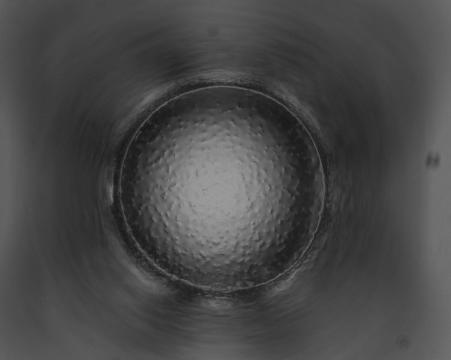 X0000091680062200708301528