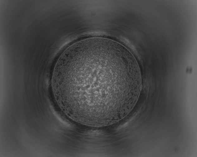 X0000091680063200708301528