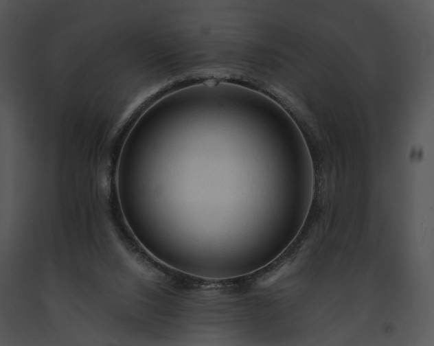 X0000091680064200708301528