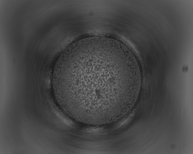 X0000091680065200708301528