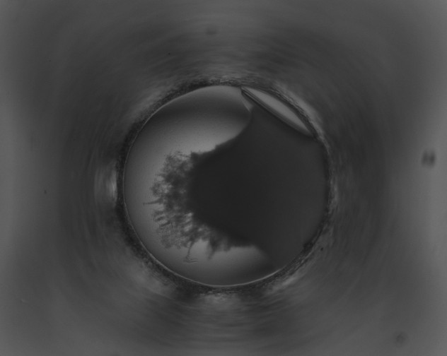 X0000091680067200708301528