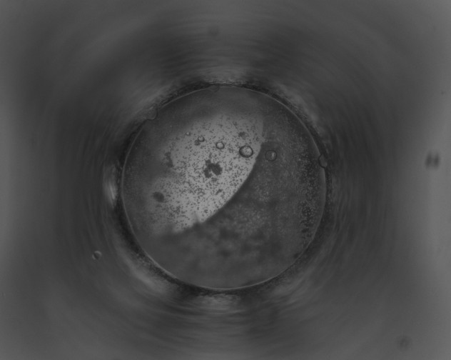X0000091680069200708301528