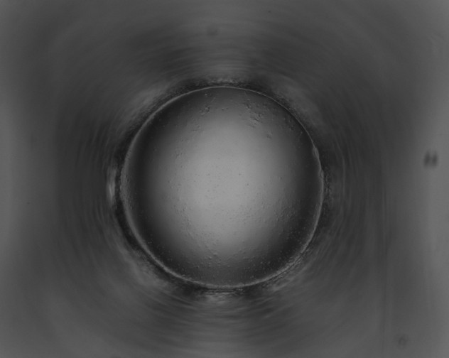 X0000091680070200708301528