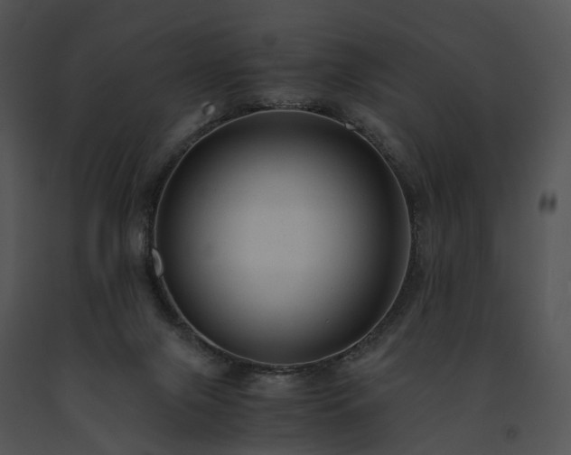 X0000091680071200708301528