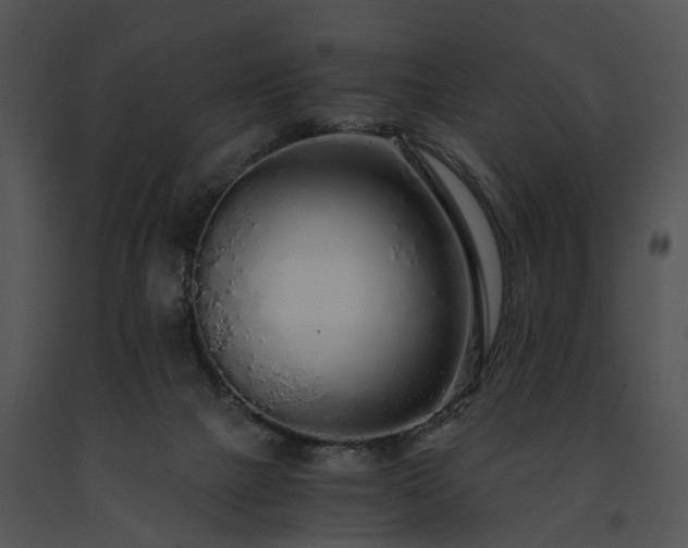 X0000091680073200708301528
