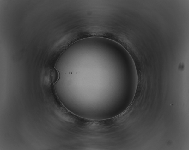 X0000091680074200708301528
