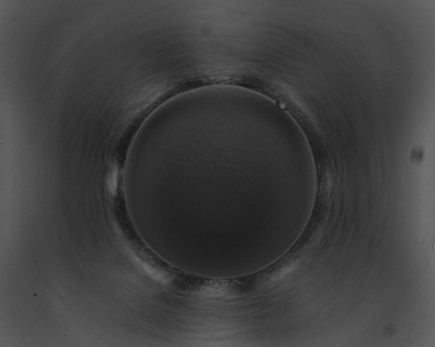 X0000091680076200708301528