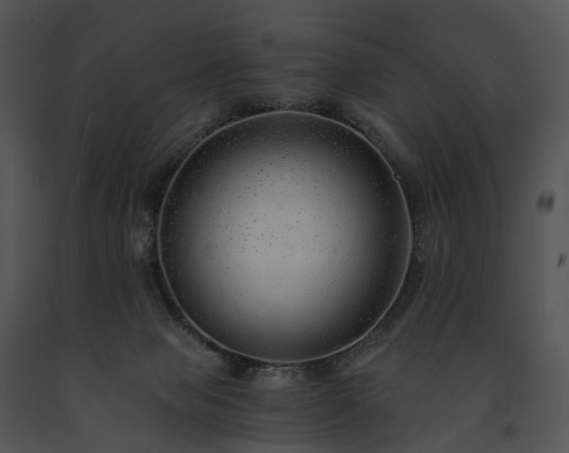 X0000091680077200708301528