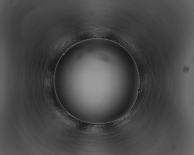 X0000091680078200708301528