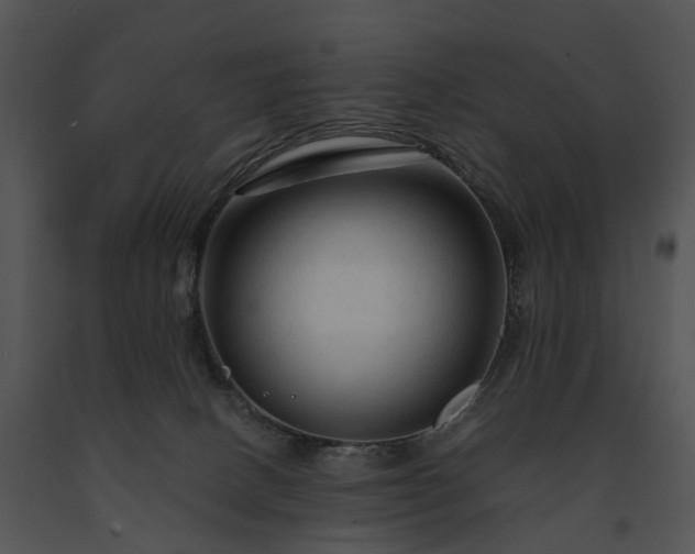 X0000091680082200708301528