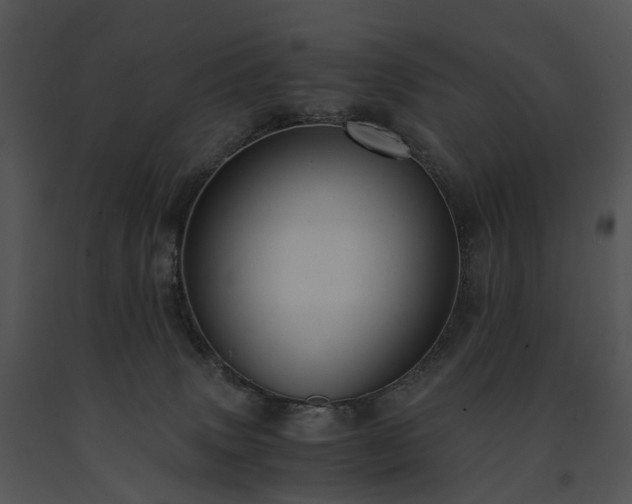 X0000091680083200708301528