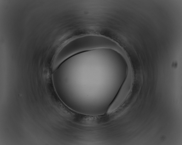 X0000091680084200708301528