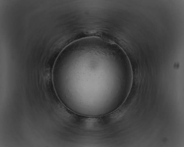 X0000091680085200708301528