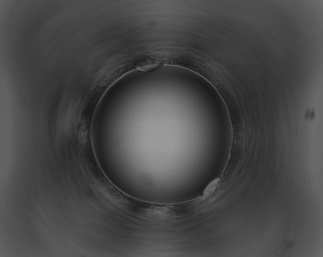 X0000091680086200708301528