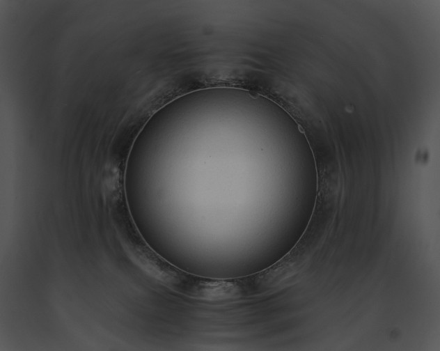 X0000091680087200708301528
