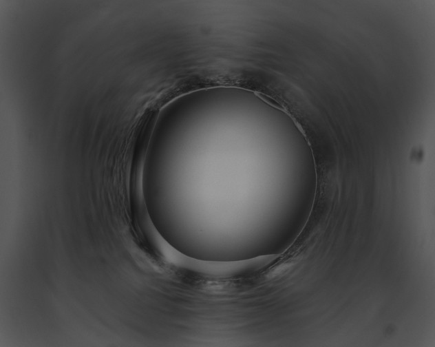X0000091680088200708301528