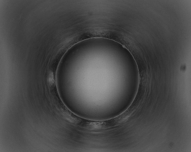 X0000091680089200708301528