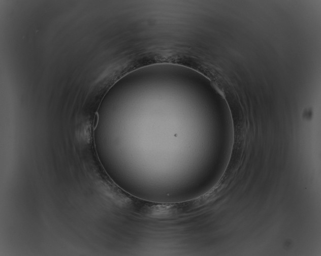 X0000091680090200708301528
