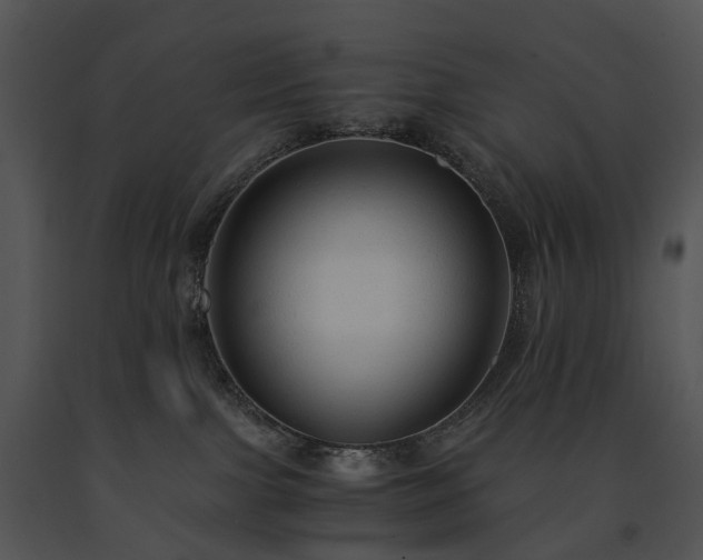 X0000091680091200708301528