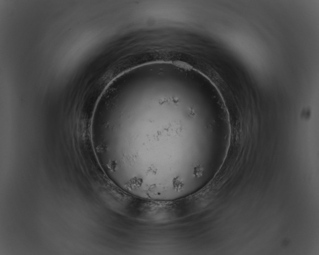 X0000091680093200708301529