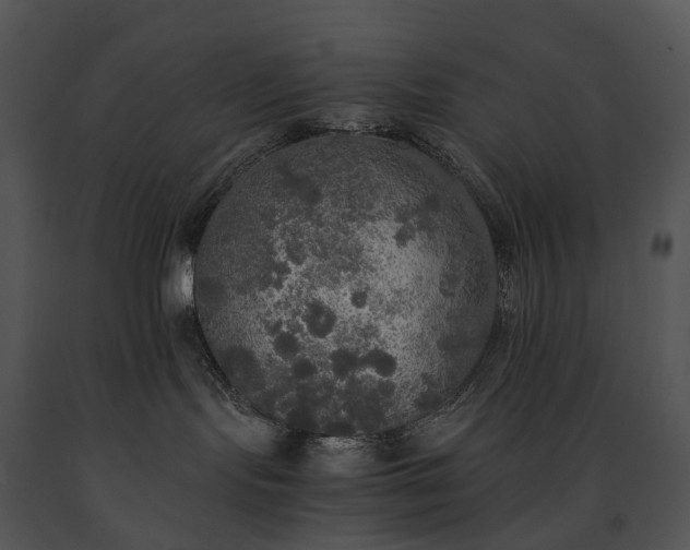 X0000091680095200708301529