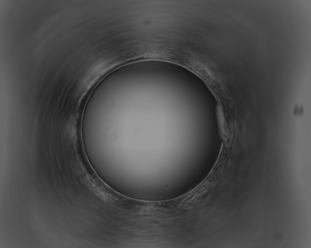 X0000091680098200708301528