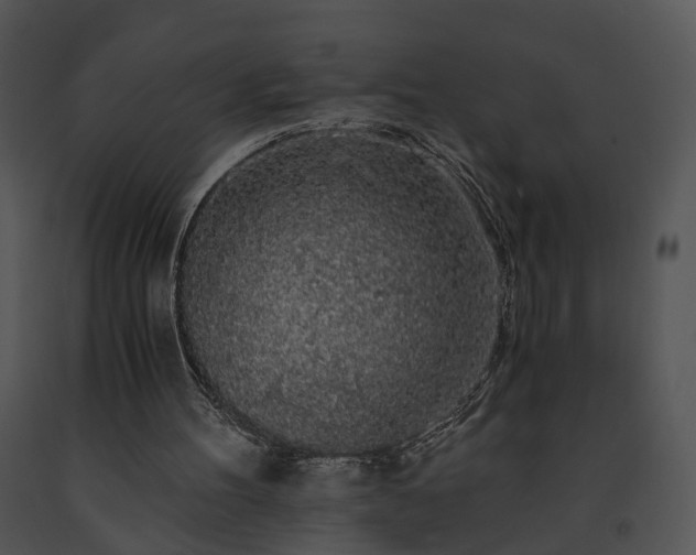 X0000091680100200708301528