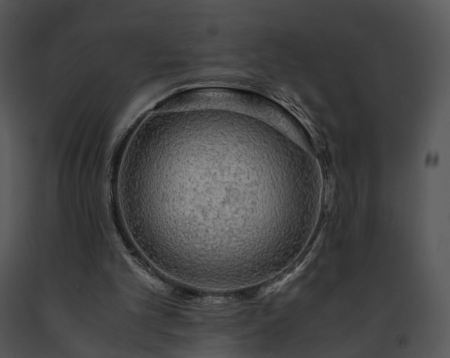 X0000091680101200708301528