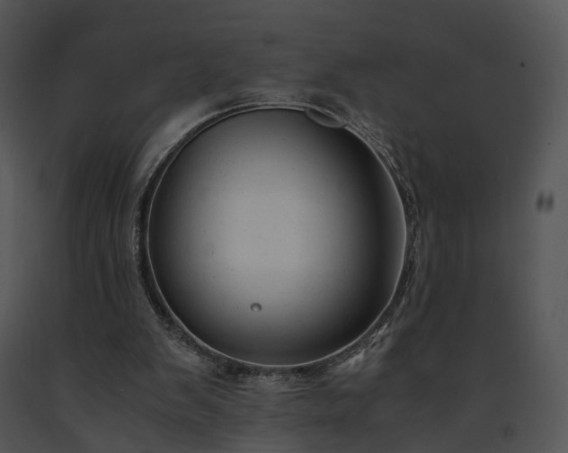 X0000091680103200708301528