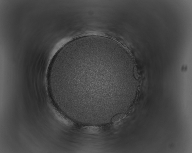X0000091680104200708301528