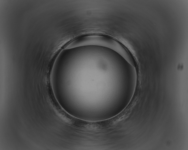 X0000091680105200708301528