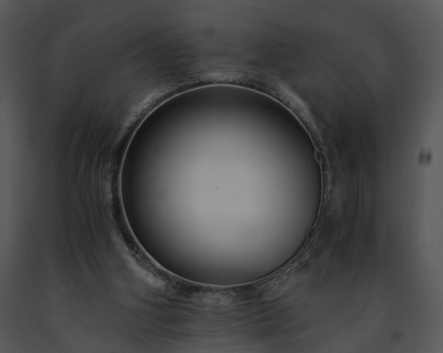 X0000091680106200708301528