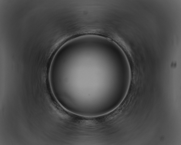 X0000091680107200708301528