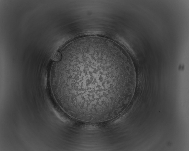 X0000091680110200708301528