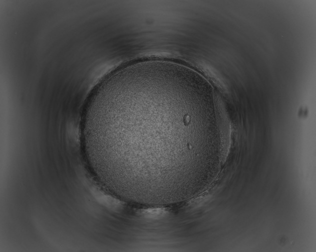 X0000091680112200708301528