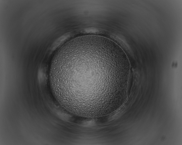 X0000091680116200708301528