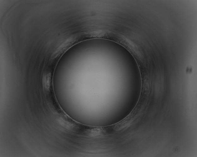 X0000091680118200708301528
