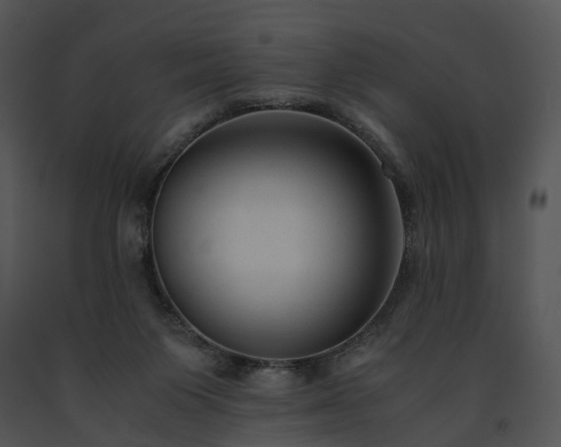 X0000091680119200708301528