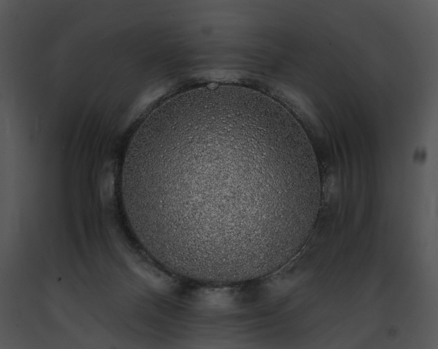 X0000091680120200708301528