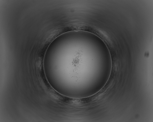 X0000091680121200708301528