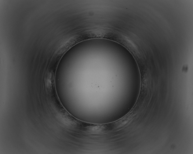 X0000091680122200708301528