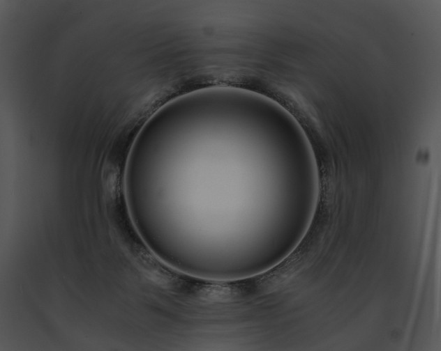 X0000091680123200708301528