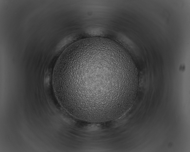 X0000091680124200708301528