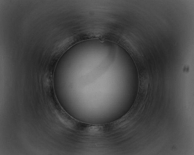 X0000091680126200708301528